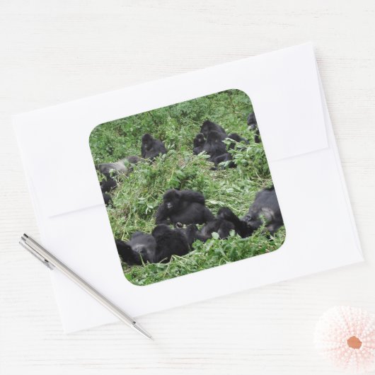 マウンテンゴリラグループスクエアステッカー スクエアシール (封筒)