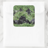 マウンテンゴリラグループスクエアステッカー スクエアシール (バッグ)