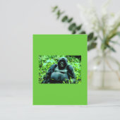 マウンテンゴリラ招待状-ユーモアのある招待状 招待状 (スタンド正面)