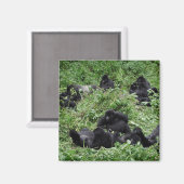 マウンテンゴリラ群磁石 マグネット (正面/裏面)