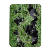 マウンテンゴリラ群長方形フォトマグネット マグネット (縦)