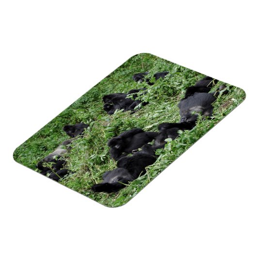 マウンテンゴリラ群長方形フォトマグネット マグネット (左側)