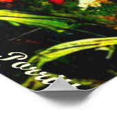 マウンテンゴリラ8 ポスター (角)