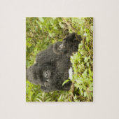 マウンテンゴリラ、ゴリラberingei(旧G. ジグソーパズル (縦)