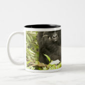 マウンテンゴリラ、ゴリラberingei(旧G. ツートーンマグカップ (左)