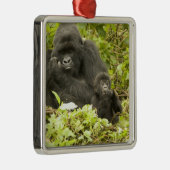 マウンテンゴリラ、ゴリラberingei(旧G. メタルオーナメント (右)
