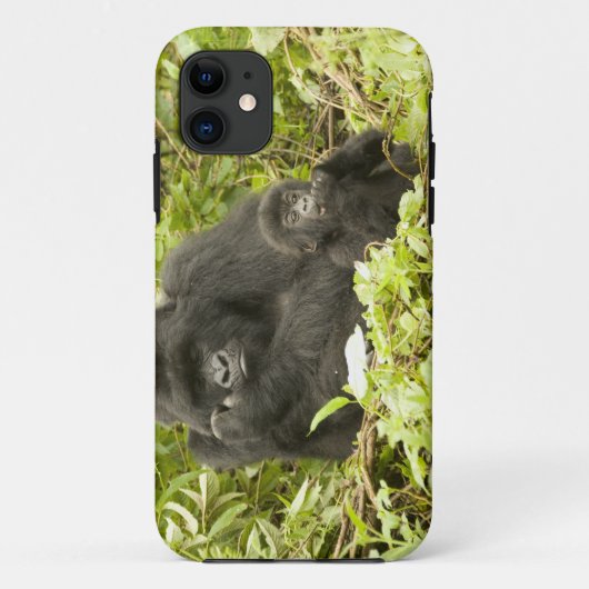 マウンテンゴリラ、ゴリラberingei(旧G. Case-Mate iPhoneケース (裏面)
