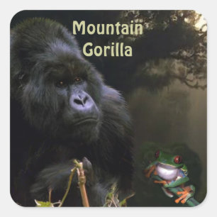 マウンテンゴリラ&フロッグAfrican Wildlifeステッカー スクエアシール