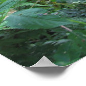 マウンテンゴリラ ポスター (角)