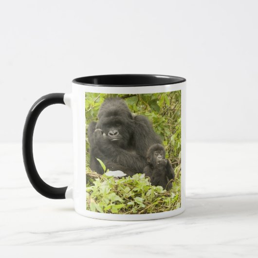 マウンテンゴリラ、Gorilla beringei (旧G. マグカップ (左)
