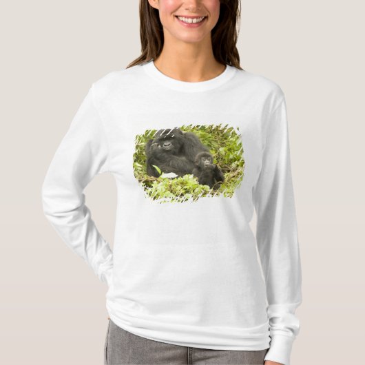 マウンテンゴリラ、Gorilla beringei (旧G. Tシャツ (正面)