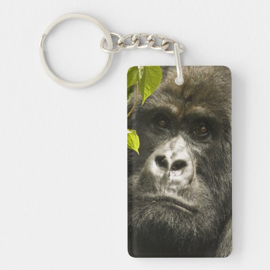 マウンテンゴリラ, Gorilla beringei beringei, キーホルダー (正面)