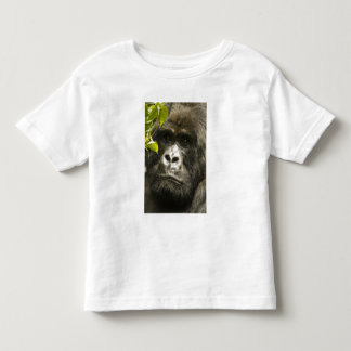 マウンテンゴリラ, Gorilla beringei beringei, トドラーTシャツ