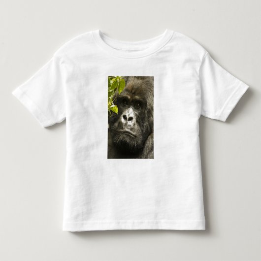 マウンテンゴリラ, Gorilla beringei beringei, トドラーTシャツ (正面)
