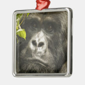 マウンテンゴリラ, Gorilla beringei beringei, メタルオーナメント (左)