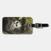 マウンテンゴリラ, Gorilla beringei beringei, ラゲッジタグ (正面横)