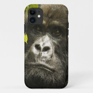 マウンテンゴリラ, Gorilla beringei beringei, iPhone 11 ケース