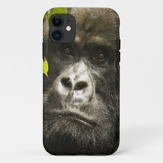 マウンテンゴリラ, Gorilla beringei beringei, Case-Mate iPhoneケース (裏面)