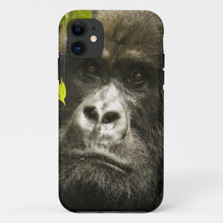 マウンテンゴリラ, Gorilla beringei beringei, iPhone 11 ケース