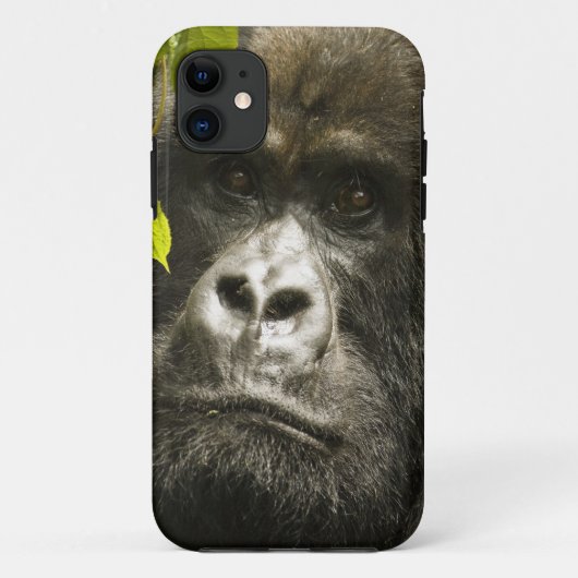 マウンテンゴリラ, Gorilla beringei beringei, Case-Mate iPhoneケース (裏面)