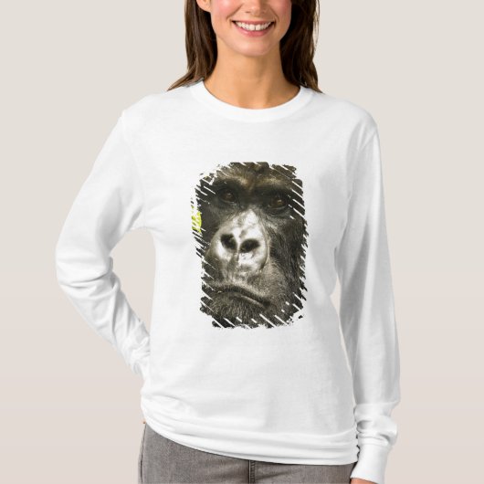 マウンテンゴリラ, Gorilla beringei beringei, Tシャツ (正面)