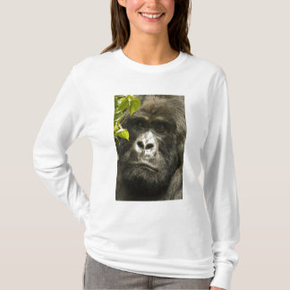 マウンテンゴリラ, Gorilla beringei beringei, Tシャツ