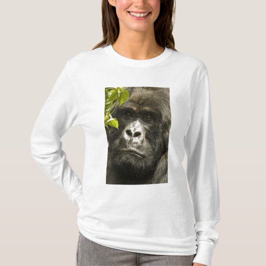 マウンテンゴリラ, Gorilla beringei beringei, Tシャツ (正面)