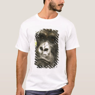 マウンテンゴリラ, Gorilla beringei beringei, Tシャツ