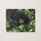 マウンテンゴリラ (Gorilla gorilla beringei) ジグソーパズル (横)