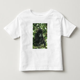マウンテンゴリラ (Gorilla gorilla beringei) トドラーTシャツ