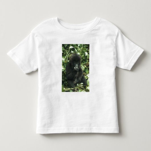 マウンテンゴリラ (Gorilla gorilla beringei) トドラーTシャツ (正面)