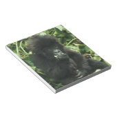 マウンテンゴリラ (Gorilla gorilla beringei) ノートパッド (アングル)