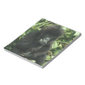 マウンテンゴリラ (Gorilla gorilla beringei) ノートパッド (回転)