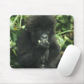 マウンテンゴリラ (Gorilla gorilla beringei) マウスパッド (マウス)