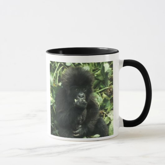 マウンテンゴリラ (Gorilla gorilla beringei) マグカップ (右)