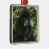 マウンテンゴリラ (Gorilla gorilla beringei) メタルオーナメント (右)