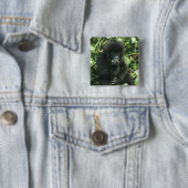 マウンテンゴリラ (Gorilla gorilla beringei) 缶バッジ (インサイチュ)
