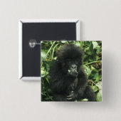 マウンテンゴリラ (Gorilla gorilla beringei) 缶バッジ (正面&裏面)