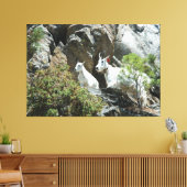 マウンテンゴートおよび子供-野性生物の写真撮影 キャンバスプリント (インサイチュ (リビング))