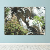 マウンテンゴートおよび子供-野性生物の写真撮影 キャンバスプリント (インサイチュ (ウッドフロア))