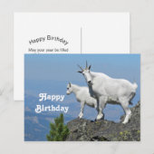マウンテンゴートのホワイトワイルドライフ写真の誕生日 ポストカード (正面/裏面)