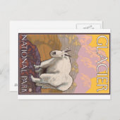 マウンテンゴート-グレーシャー国立公園、MT ポストカード (正面/裏面)