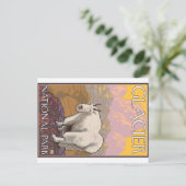 マウンテンゴート-グレーシャー国立公園、MT ポストカード (スタンド正面)