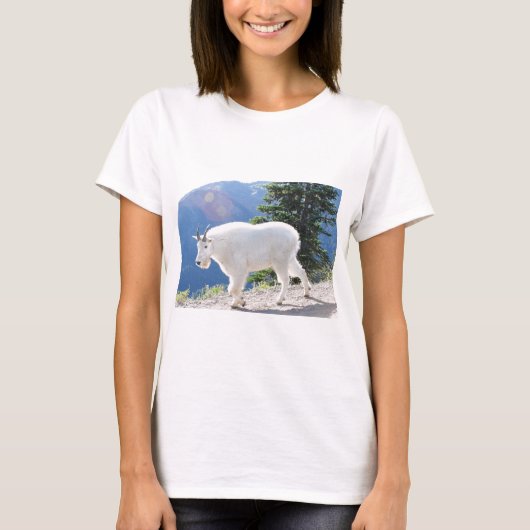 マウンテンゴート Tシャツ (正面)