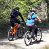 マウンテンサイクリング誕生日カード サンキューカード