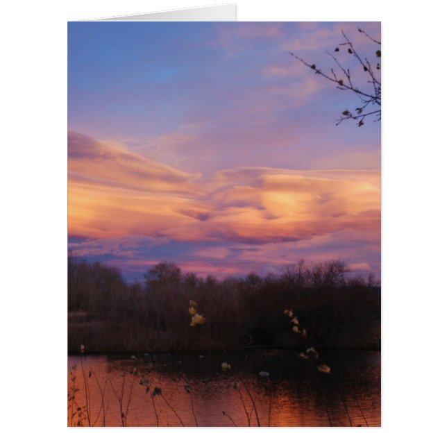 マウンテンサンセットオンポンド (正面)