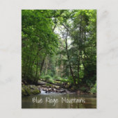 マウンテンストリームブルーリッジマウンテンズNC ポストカード (正面)