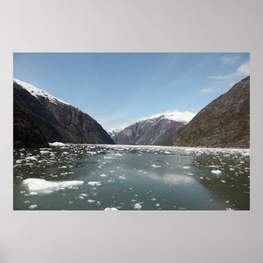 マウンテンズ&アイスベルグプリント ポスター (正面)