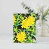 マウンテンタンデリオンズPicから春オタワカナダ ポストカード (スタンド正面)