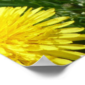 マウンテンタンデリオン ポスター (角)